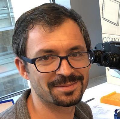 Asst. Prof.Dr. Mehmet Sefa Ulutaş